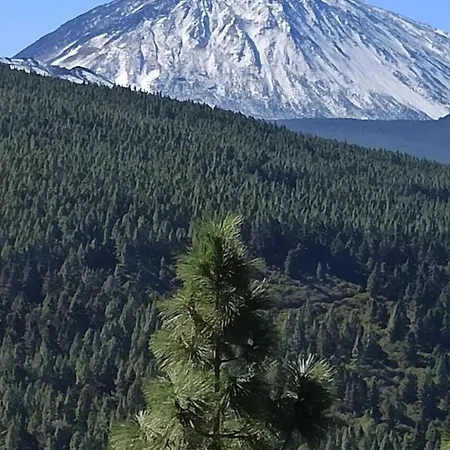 Tenerife Vandrarhem