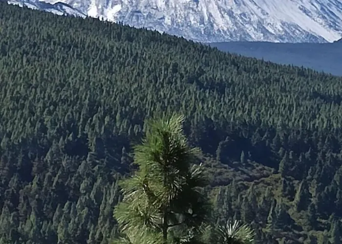 Tenerife Vandrerhjem